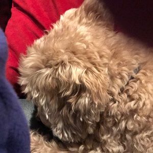 Meet your Posher, Marla